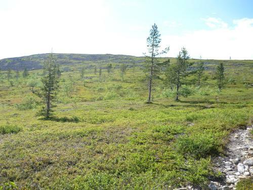 Lemmenjoki Camping & Cabins