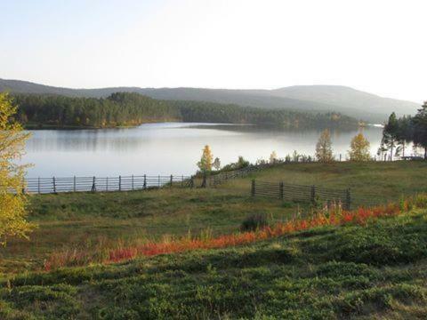 Lemmenjoki Camping & Cabins