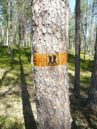 Lemmenjoki Camping & Cabins