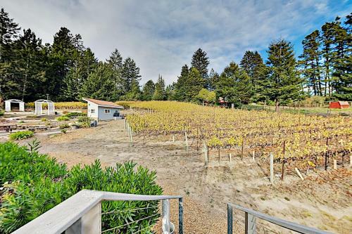 Mountain-view Vineyard Cottage - Private Hot Tub Cottage