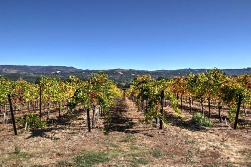 Beautiful Sonoma House With Patio And Vineyard Views!