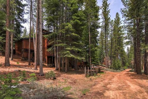 Bear Haus