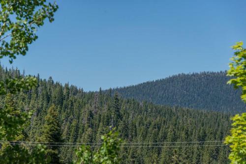 Reidy By Tahoe Truckee Vacation Properties