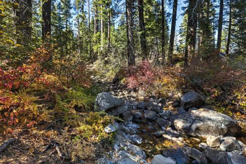 Gorgeous A-frame Cabin With Deck - 1 Mi To Lake Tahoe