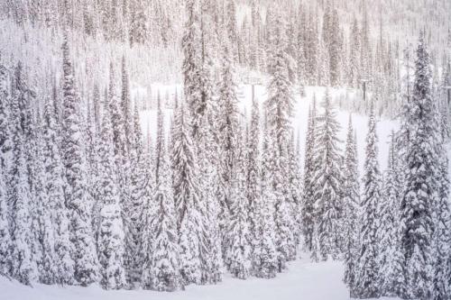 Mountain Queen #5