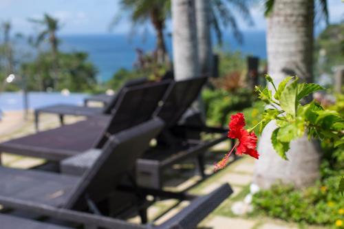 Hotel Soffia