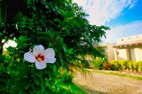 Hotel Soffia