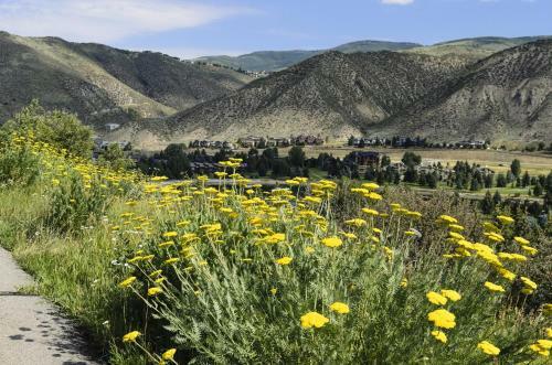 Hotel New Listing! Riverfront Resort Studio With Heated Pool - Gondola To Slopes!
