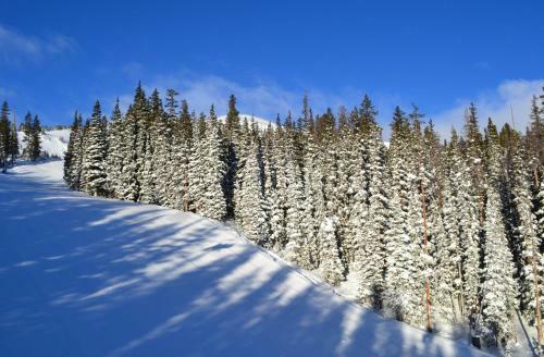 Eat, Sleep. Ski. Repeat!
