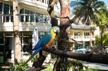 Hotel Paradise Bay - Beach & Watersport Resort