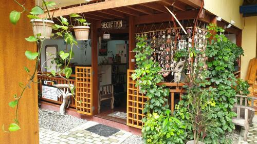 Hostal Roy's Rendezvous Boracay