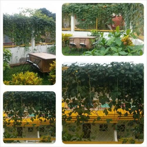 Hostal Bambooze Hauz
