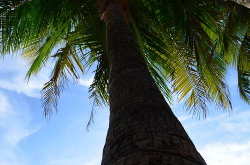 Blue Bamboo Hostel