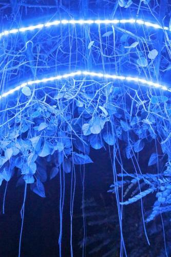 Blue Bamboo Hostel