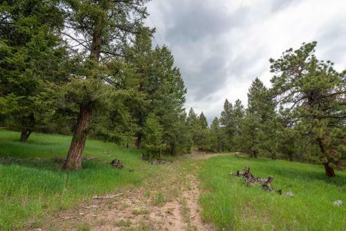 Modern Evergreen Cabin On 35 Acres With Views!