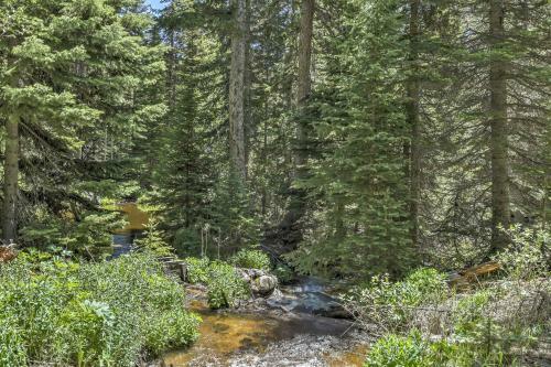 Cozy Idaho Springs Cottage With Mill Creek Views!