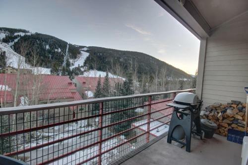 Ski Run 302