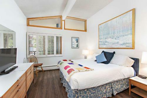 Shadowbrook 302