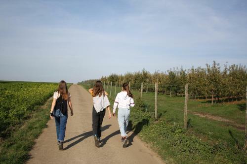 Hoeve Jadoul