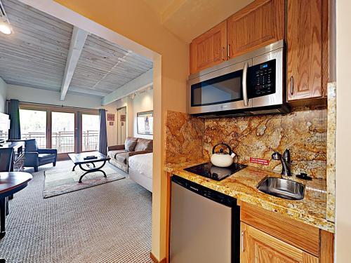 Timberline Condominium Studio Unit 214