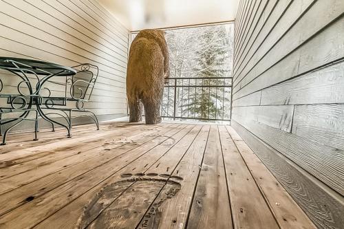 Cimarron Mountain Retreat