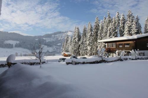 Hostal Pension Apartment Steiner