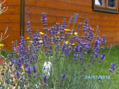 Apartamento Ferienwohnungen Markus