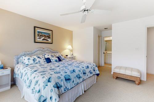 Sea Colony Sanddollar