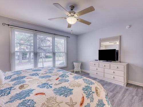 Sea Colony Sanddollar