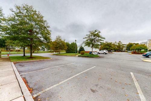 Bear Trap Dunes - 124g October Glory