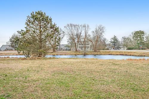 South Hampton - 38331 Amaganst