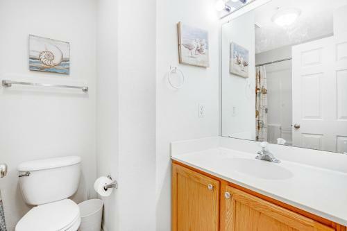 South Hampton - 38331 Amaganst