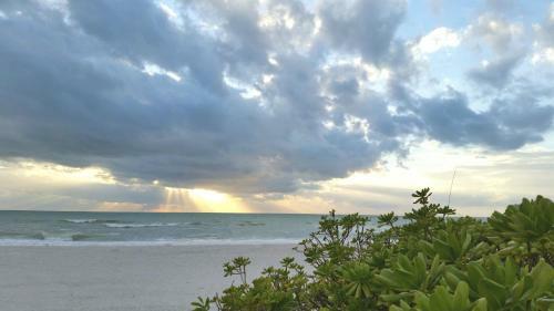 Beach Bungalow - 2204 Unit B