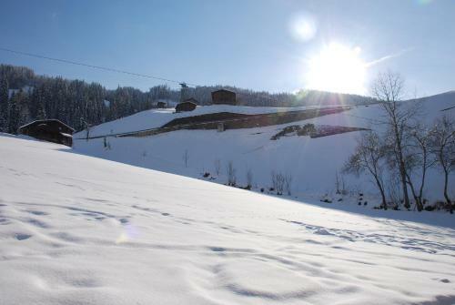 Apartamento Blaserhof