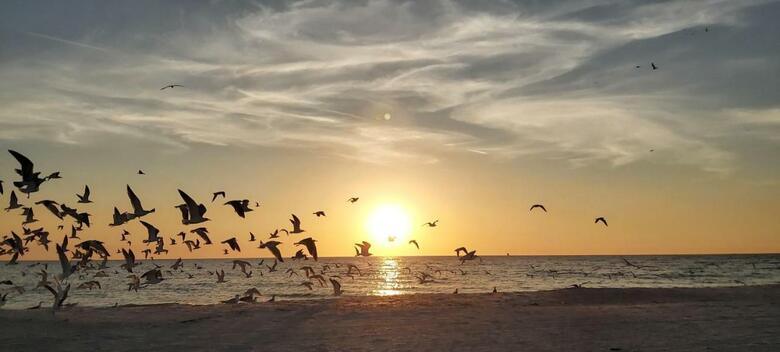 Pelicans Pointe New!! Amazing Townhouse On The Beach!