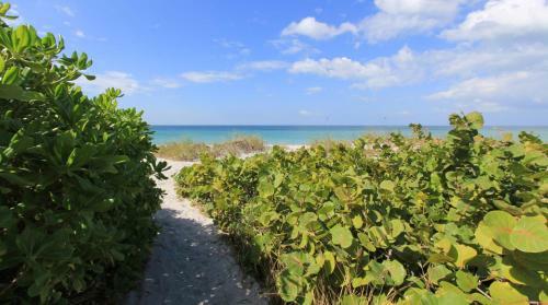 Belleair Beach Club By Teeming Vacation Rentals