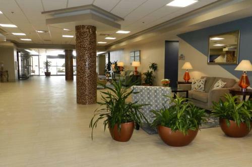 Apartamento Dayton Beach Resort Direct Ocean 5th Floor