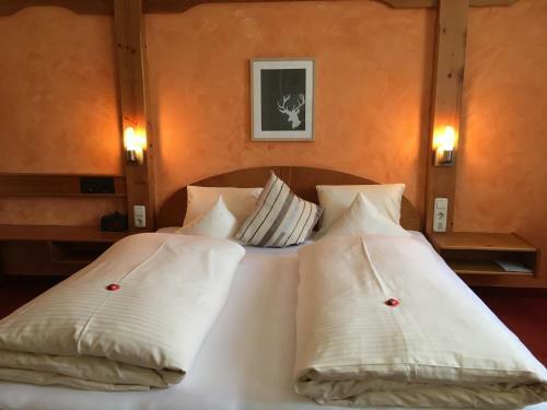 Hotel Alpin