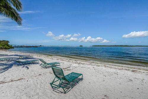 Causeway Dreams