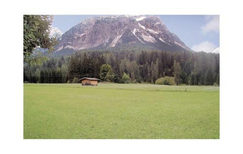 Apartment Ganghoferstrasse