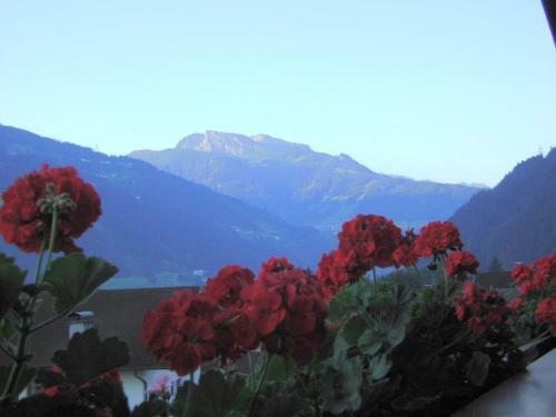 Hostal Pension Gasser