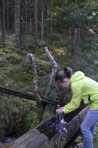 Posada Wildwiesenhof
