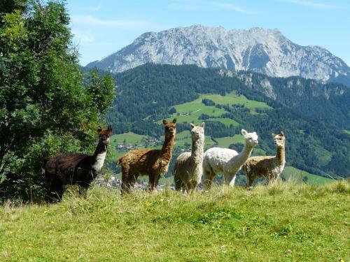 Agroturismo Klausnerhof