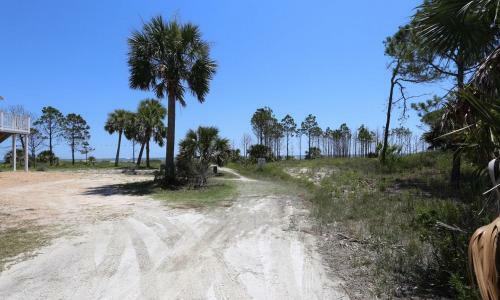 Indian Pass Subdivision Homes - Pet Friendly By Pristine Properties