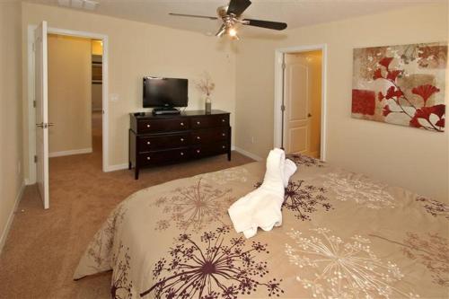5 Bedroom With Splash Pool In Paradise Palms! Townhouse