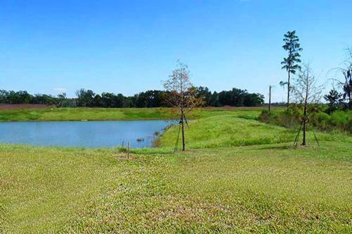 Kissimmee Villa Sleeps 8 Pool Air Con Wifi