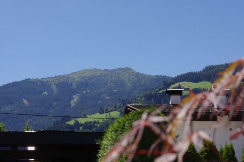 Apartamento Ferienhaus Kopp