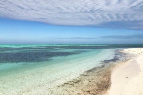 Island Time