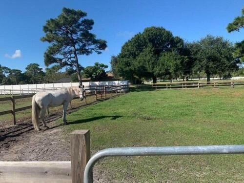 Hotel Oyo Family Ranch At Melbourne Fl