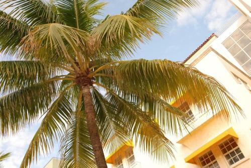 Apartamento 2 Bedroom Ocean Drive Newly Renovated